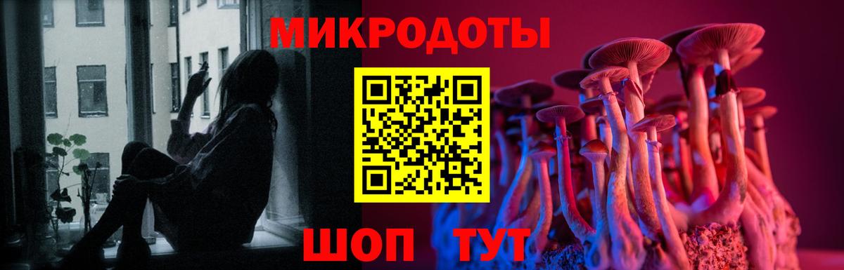 Городец  Галлюциногенные грибы MAGIC MUSHROOMS  Вход с VPN 